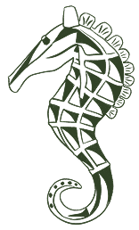 seahorse