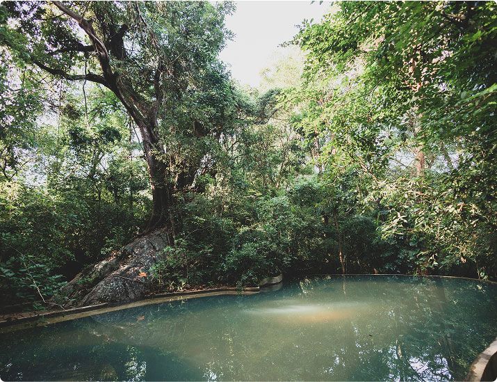 nature image