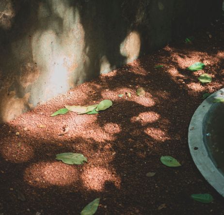 Blog
