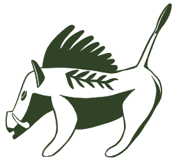 boar