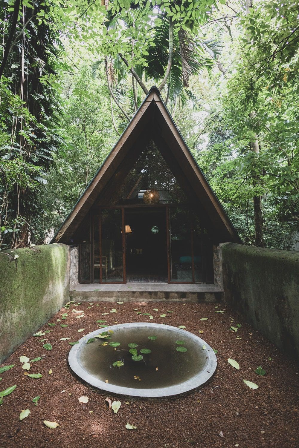 tree-house