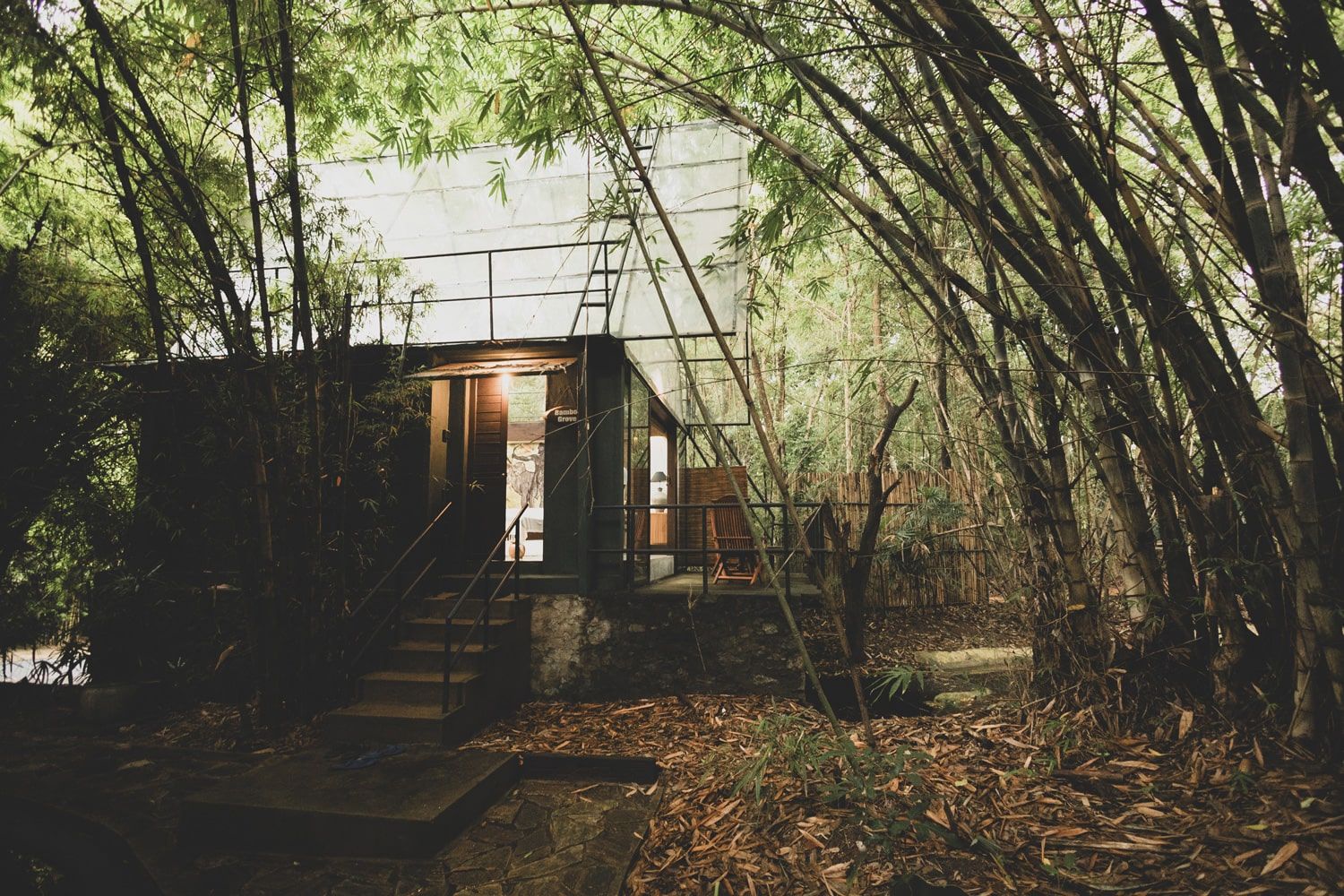 bamboo