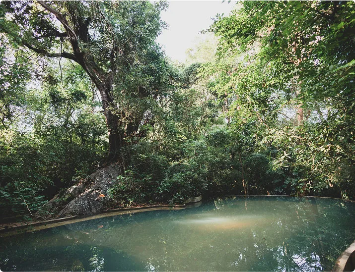 nature image
