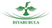 Diyabubula